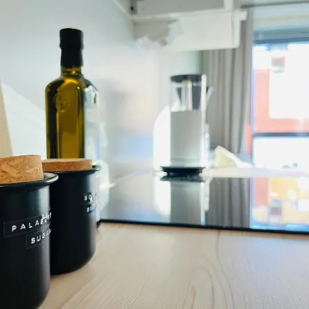 Apartment Uusi Ilmastoitu Kaksio Tampereen Ytimessae, Pysaekoeinti, Iso Lasitettu Parveke Tampere